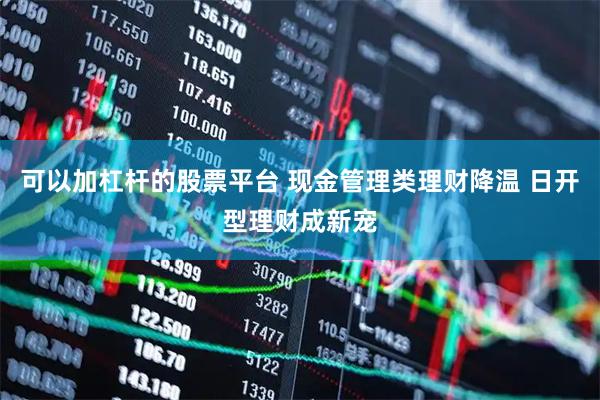 可以加杠杆的股票平台 现金管理类理财降温 日开型理财成新宠